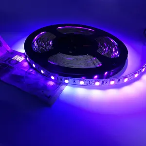 Çin üretici 12V 24v Led şerit ışıkları 60 LEDs/M rgb SMD 5050 Led şerit