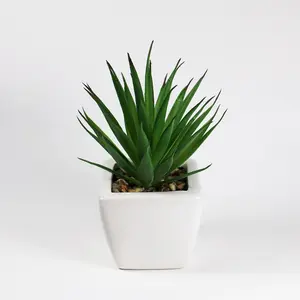 Succulent Plants Artificial Aloe Vera Plant 2022 Artifical Plant Home Indoor Garden Ceramics Lovely