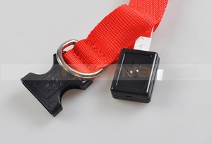 ปลอกคอนิรภัยสำหรับสัตว์เลี้ยงมีไฟ LED ไนลอนเรืองแสงในที่มืดสำหรับสุนัข - Product Image 5
