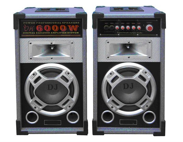 Power Active Stage Speaker HIFI X6000
