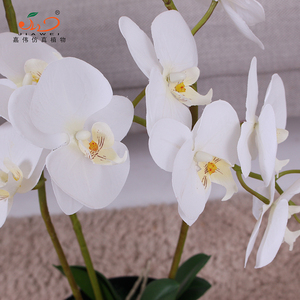 Real Touch künstliche Orchideen blumen zum Verkauf künstliche Orchideen pflanzen zur Dekoration