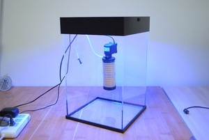 Cilindrisch <span class=keywords><strong>Aquarium</strong></span> Klein Tafelblad Op Maat Gemaakte Vorm Helder Acryl <span class=keywords><strong>Aquarium</strong></span> Mini Rond Acryl <span class=keywords><strong>Aquarium</strong></span> <span class=keywords><strong>Aquarium</strong></span> - Product Image 5