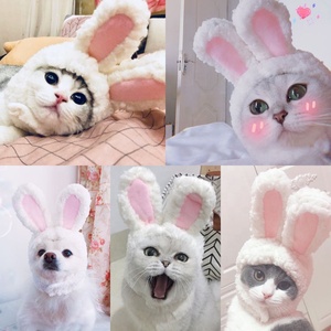 Best Selling Cheap Price Cotton <strong>Cat</strong> <strong>Hat</strong> Pet Costume Cosplay Lovely Cute Rabbit Ears Cosplay Wig <strong>Hat</strong> for Pet <strong>Cats</strong> Dogs - Product Image 4