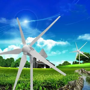 Nieuwste Beste Product In De Industrie 800W Zelfgemaakte Windgenerator Windturbine Met 5 Bladen