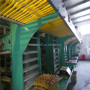 Jaulas capa <span class=keywords><strong>de</strong></span> granja <span class=keywords><strong>de</strong></span> aves <span class=keywords><strong>de</strong></span> corral con diseño profesional - Product Image 1