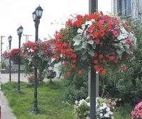 SOL 수직 정원 남비 쉽게 조립된 둥근 꽃 공 재배자 플라스틱 쌓을수 있는 램프 포스트 꽃 기둥 각자 급수