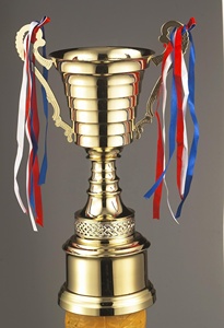 Ucuz Basit Tasarım Metal Plastik Kupa Ve Madalya - Product Image 3