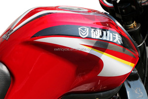 New Kind Customized <strong>Gas</strong> <strong>Powerd</strong> Three Wheel Motorcycle/cargo Tricycle for Adult