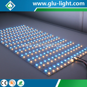 China tamaño/longitud 12 V/<span class=keywords><strong>24</strong></span> V rgbwww CCT dimmable 5 colores en 1 LED mate para cine/TV - Product Image 5
