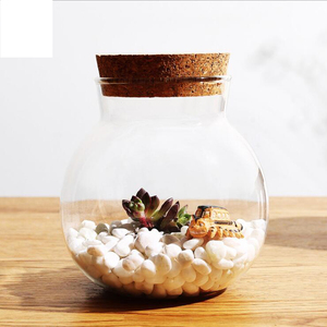Terrario <span class=keywords><strong>di</strong></span> <span class=keywords><strong>vetro</strong></span> Contenitore Campana Barattoli, flora E Terrari <span class=keywords><strong>in</strong></span> <span class=keywords><strong>Vaso</strong></span> <span class=keywords><strong>di</strong></span> <span class=keywords><strong>Vetro</strong></span> - Product Image 3