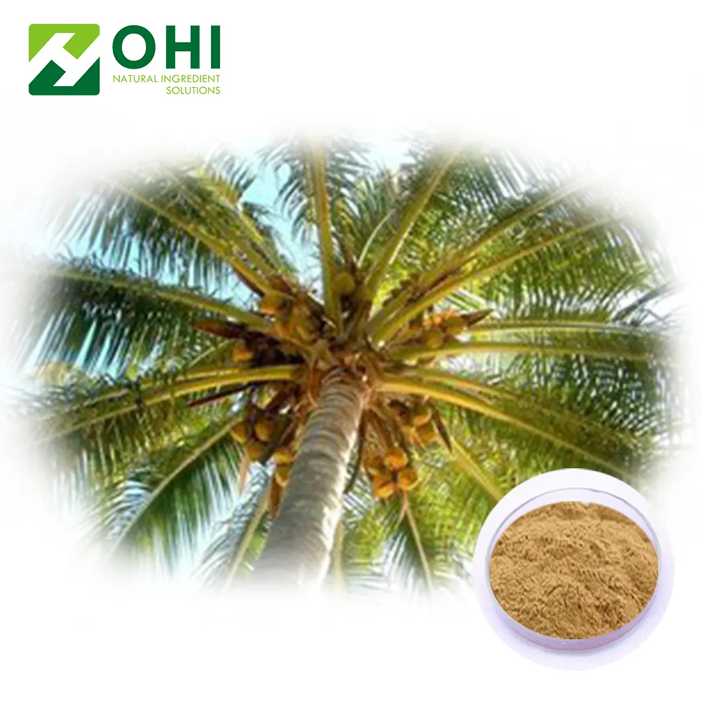 Saw Palmetto Chiết Xuất Từ Trái Cây Serenoa Repens Chiết Xuất Từ Vỏ Nhà Cung Cấp 25% Axit Béo Phytosterols