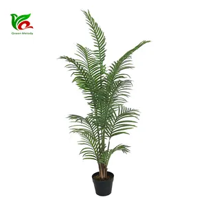 Pflanze pflanzen und dekorieren Kentia Palm Pflanze künstliche Pflanze kenia nische Robellini Palm