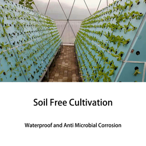Panneau de mousse en polystyrène <span class=keywords><strong>XPS</strong></span>, très épais, pour la culture de plantes hydroponiques - Product Image 2