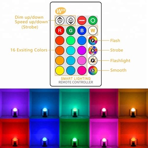 Wholesale 10W E27 RGB Globe LED Mini Christmas Neon Decorative Terrarium <strong>Light</strong> <strong>Bulb</strong> With <strong>Remote</strong> Control - Product Image 4