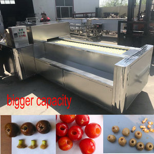 RC Nhà Máy Tự Động Thép Không Gỉ Mận Rỗ Máy - Product Image 4