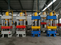 Presse hydraulique manuelle à double action pour le façonnage profond des carreaux de ciment