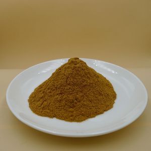 Estratto Puro di ZHI HUANG QI Radix Astragali Mel Prep. Rapporto 5:1 di alta qualità - Product Image 1
