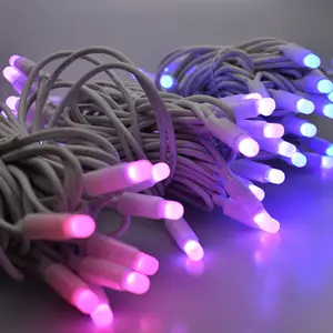 智能发光二极管灯可编程动画效果RGB变色发光二极管智能串灯