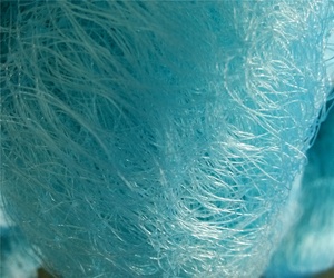 อวนจับปลาแบบญี่ปุ่น ไนลอนโมโน มัลติฟิลาเมนต์ กำลังลดราคา - Product Image 3