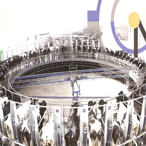 Electronic meter milking system rotary milking parlor for dairy farm