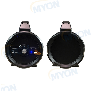 <span class=keywords><strong>Altavoz</strong></span> Bluetooth portátil Venta caliente del producto de <span class=keywords><strong>Amazon</strong></span> casa Theatra sistema Subwoofer <span class=keywords><strong>altavoz</strong></span> Boombox DJ con micrófono - Product Image 4