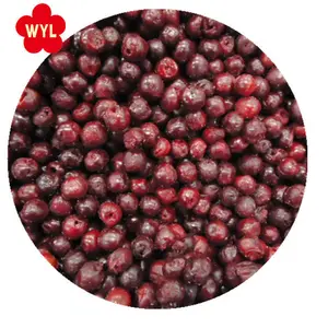 New Crop IQF Fruit Frozen Sour Cherry for Wholesale