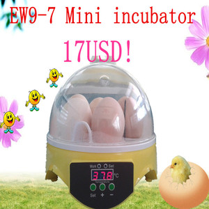 <span class=keywords><strong>moins</strong></span> <span class=keywords><strong>cher</strong></span> à petite échelle mini automatique incubateurs d'oeufs à couver de volailles pour 7 ew9-7 poulet œufs pour la vente - Product Image 1