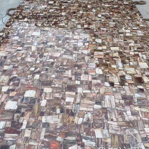 Tự nhiên fossil stone đánh bóng petrified gỗ tấm ván cho bán - Product Image 1