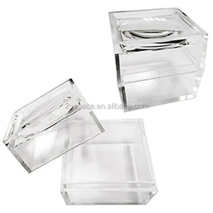 clear plastic bug boxes magnifying glass effect box