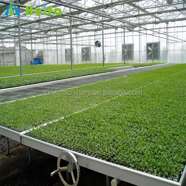 Farming Nursery Bed Greenhouse Equipment For Tomato Cucumber Strawberry Seedbed 4x8