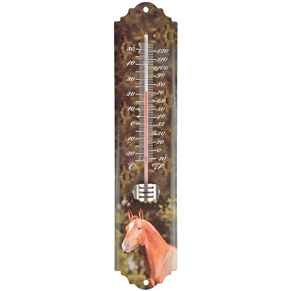 Наружный металлический термометр Esschert с изображением животных и лошадей