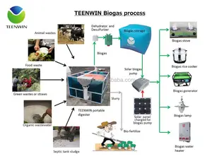 Montaggio portatile mini biogas digestore sistema di impianto