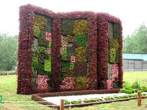 Sistema di Fioriere <span class=keywords><strong>da</strong></span> <span class=keywords><strong>Parete</strong></span> per Esterni, Autoirrigante, per Giardino Verticale Interno, Vaso per Piante e Fiori in Plastica - Product Image 4