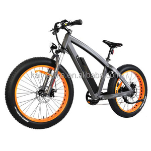 Is Alibaba A Reliable Source For Purchasing Electric Bicycles For Hunting?