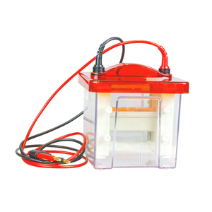 MINI Verticale Gel Elettroforesi Serbatoio - Product Image 2