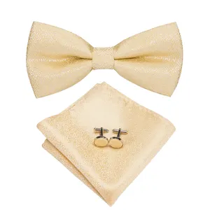 High quality mens bow tie set Gold fashion luxury self tie bow tie