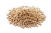 Ingrédient de saveur de bière de prémélange soluble dans l'eau de haute qualité à bas prix concentré d'arôme de malt frais