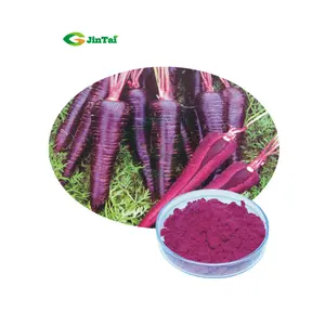 Pure Black Carrot Extract 8% Anthocyanin black carrot powder