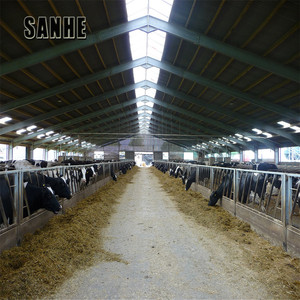 Capannone in Struttura d'Acciaio per Allevamento di Bovini da Latte - Product Image 2