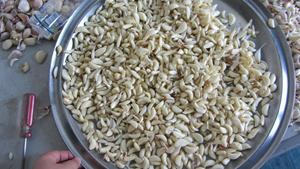 Máy Bóc Vỏ Tỏi Fengxiang, Máy Bóc Vỏ Hành Tây Đỏ, Loại Bỏ - Product Image 6