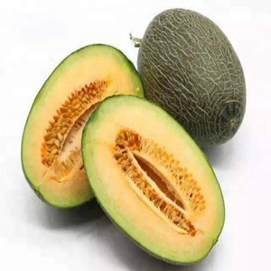 GMP Natural Cantaloupe Fruit polvo/melón sabor en polvo - Product Image 3