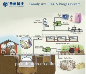 PUXIN 10m3 trattamento domestico biogas impianto per rifiuti organici