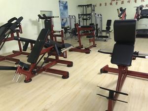 Huiti-máquina de prensado de cofre para entrenamiento de aves, equipo de gimnasio comercial, serie <span class=keywords><strong>Gym80</strong></span> - Product Image 3
