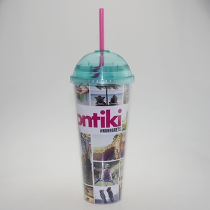 Thân Thiện Với Môi Tính Năng 22Oz Đôi Tường Nhựa Tumbler Mug Với Rơm Cốc Cà Phê Mug Với Ảnh Chèn - Product Image 4