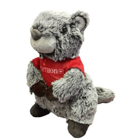 Jouet en peluche mignon et doux, marmotte, marmotte des prairies