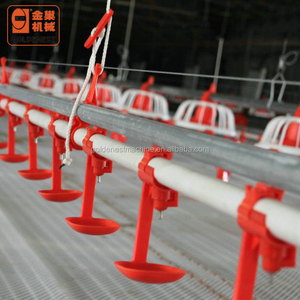 2025 Hot Sell New Goldenest Factory Design Automatic <strong>Chicken</strong> Rearing Equipment/Poultry Control Shed 1000 Shandong <strong>Origin</strong> - Product Image 2