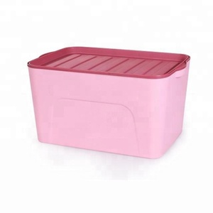 Contenitore per Giocattoli per Bambini Altezza 23,8 cm, Scatola Grande in Plastica per Libri e Giocattoli, Contenitori di Stoccaggio in PP - Product Image 1
