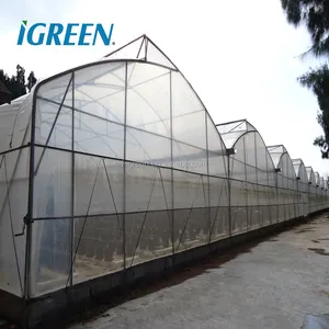 Película Calefacción al aire libre para grandes jardines frutales Tubo de acero galvanizado 15 años Invernadero grande Diseño geodésico Sala de cultivo grande