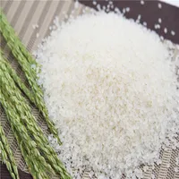 Gaishi OEM/ODM Arroz Beras Riz Rijst Reis Sushi Weizen Instant Langkorn Japonica Broken Sushi Jasmin Sticky White Gedämpfter Reis