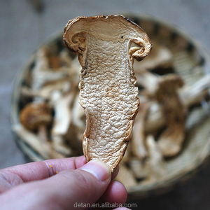 Detan seco <span class=keywords><strong>matsutake</strong></span> <span class=keywords><strong>tricholoma</strong></span> - Product Image 5